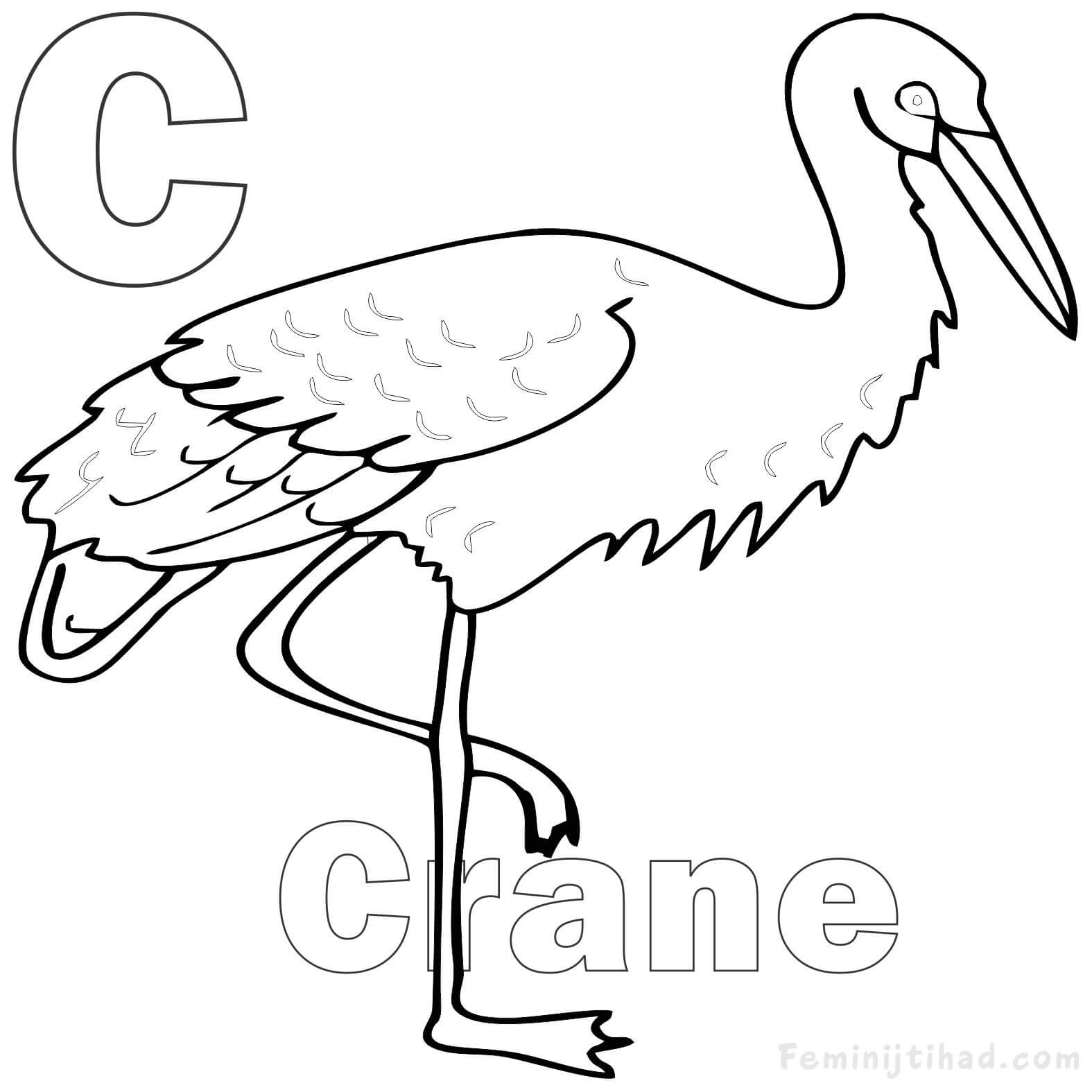 crane bird coloring page