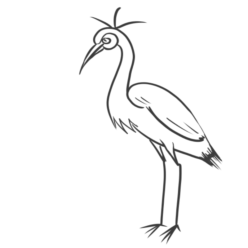 crane bird coloring page