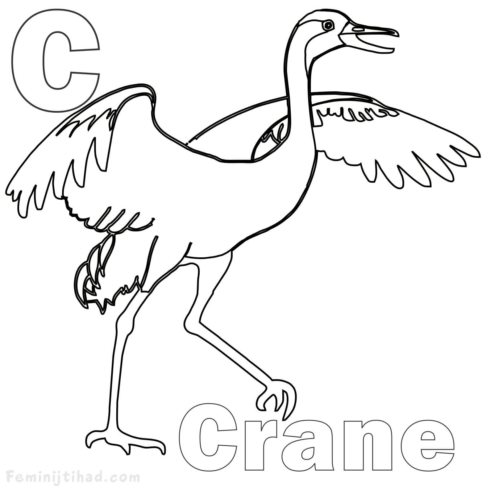 crane bird coloring pages printable