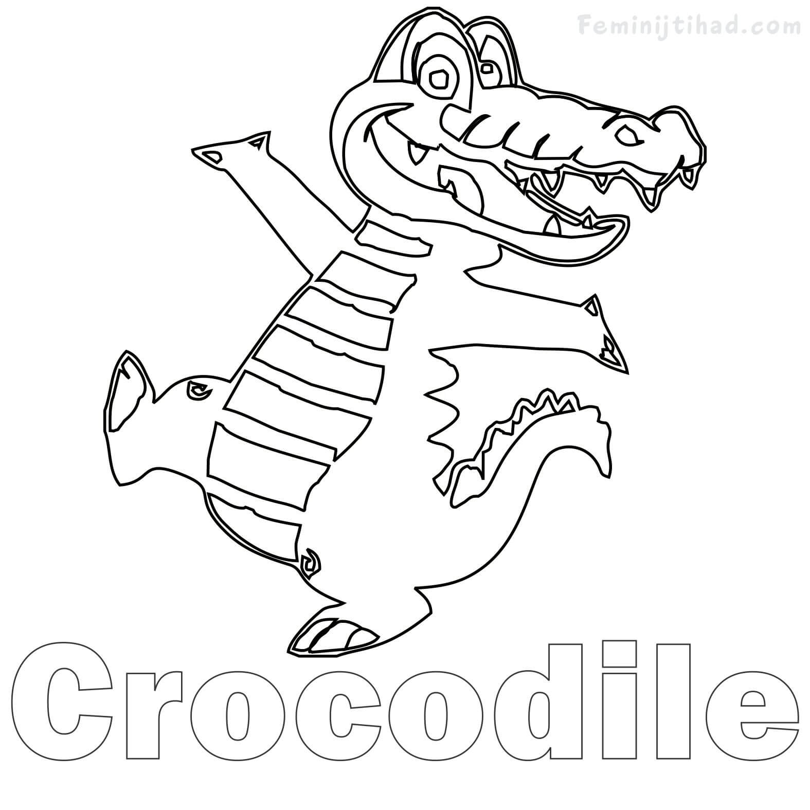 Printable Crocodile Coloring Pages PDf - Coloringfolder.com