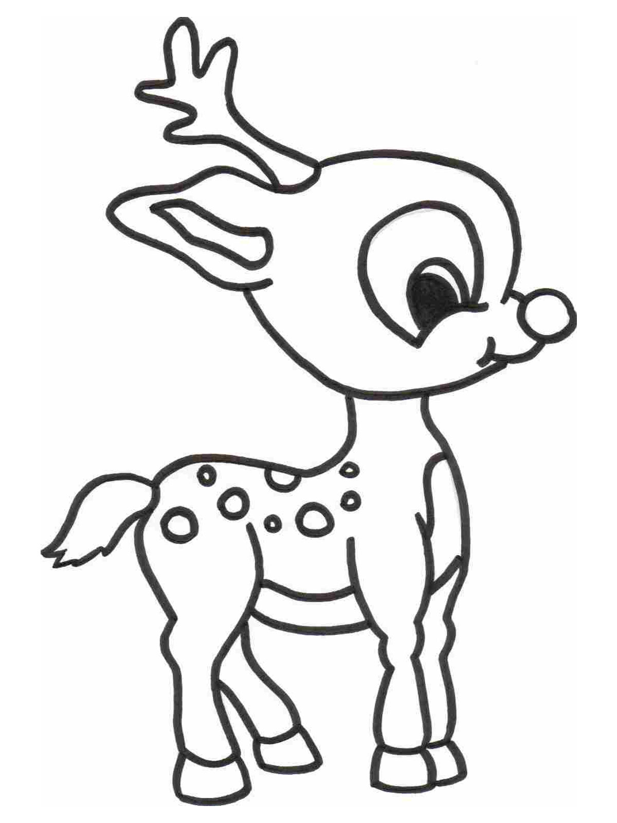 cute baby animal coloring pages dragoart