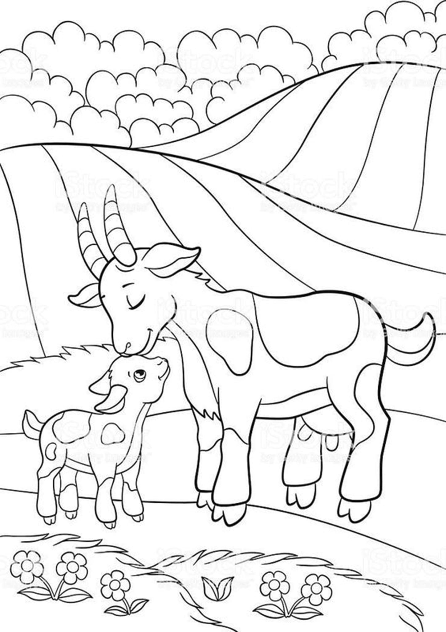 realistic baby animal coloring pages