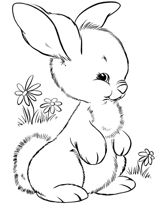 lop eared rabbit coloring pages