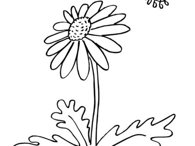 daisy flower garden journey coloring pages