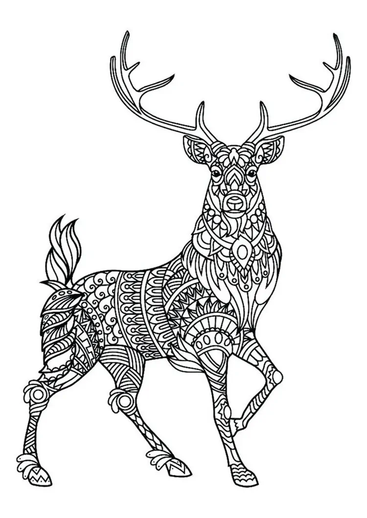 adult deer coloring pages