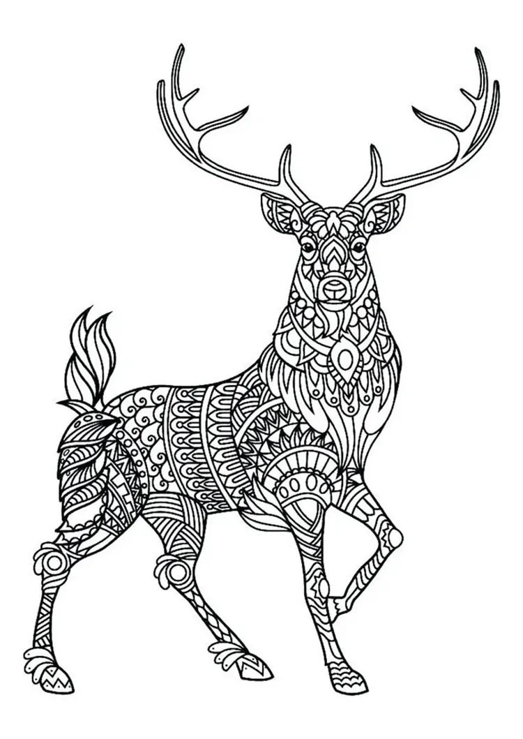 Printable Deer Coloring Pages (PDF Download) - Coloringfolder.com