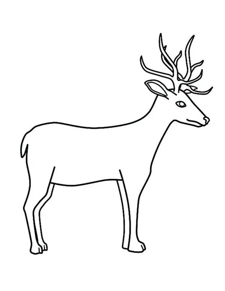 buck deer coloring pages