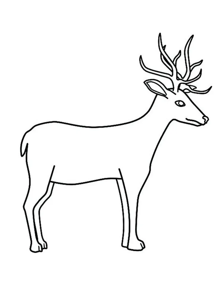 printable deer coloring pages pdf download coloringfolder com