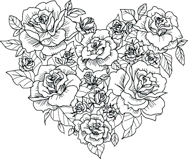 detailed rose coloring pages