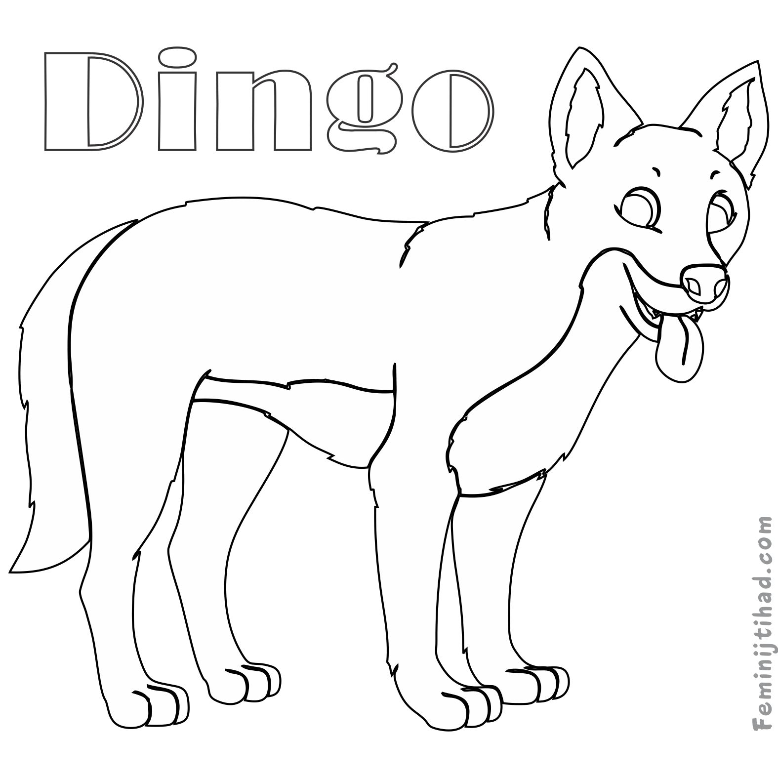 dingo coloring pages print
