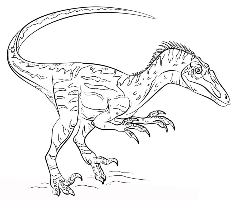 dinosaur coloring pages free
