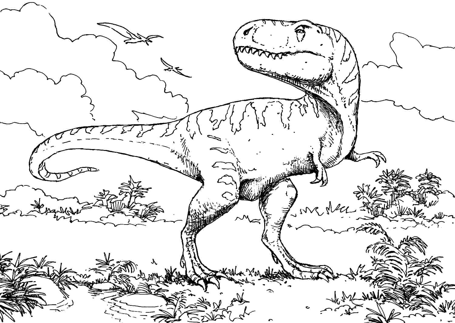 dinosaur coloring pages t rex