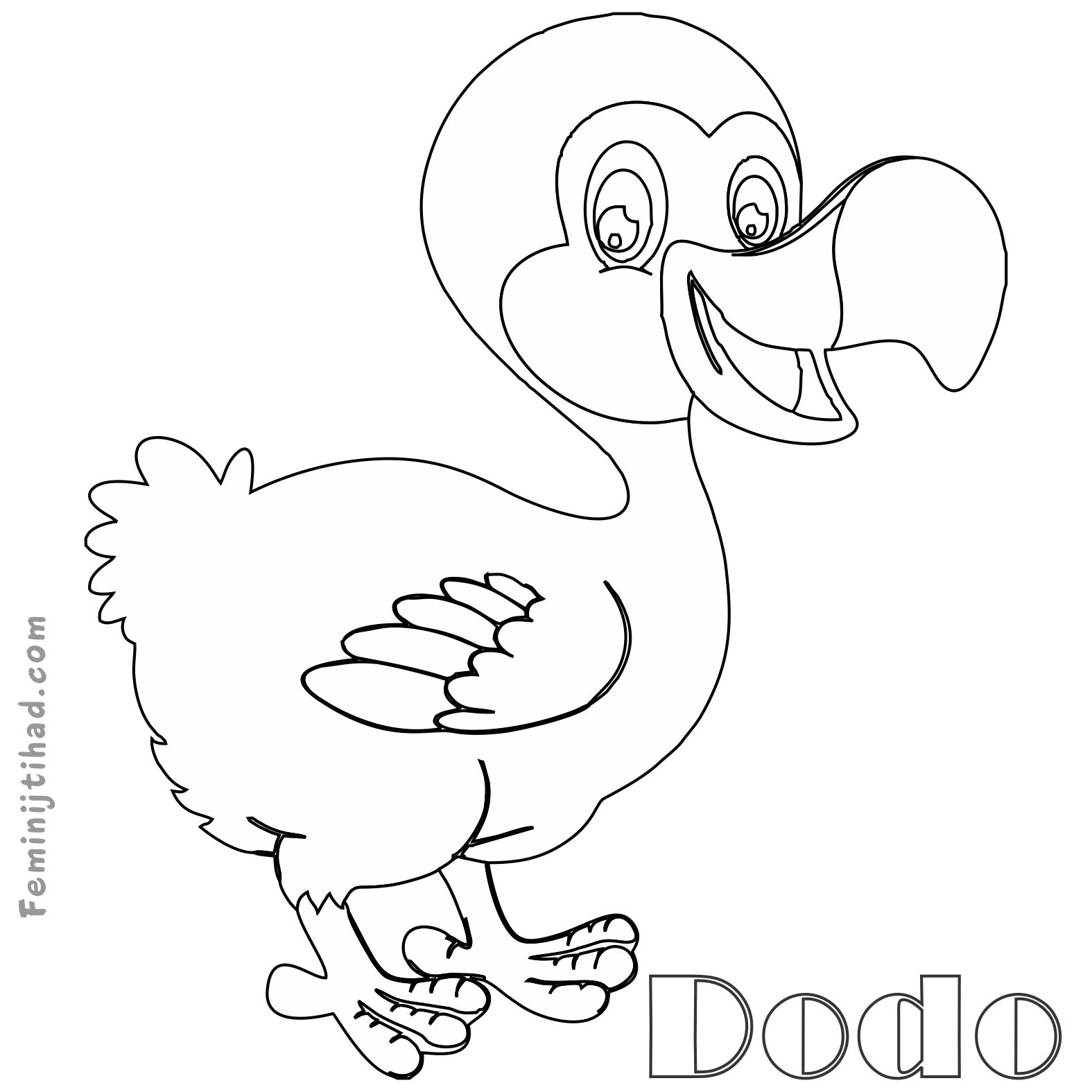 dodo bird coloring page print