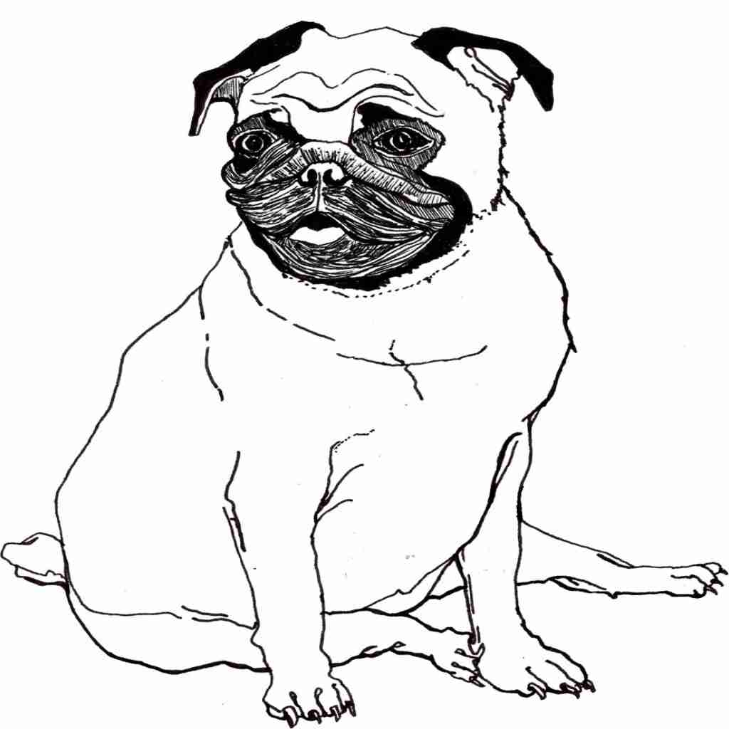 dog coloring book pages