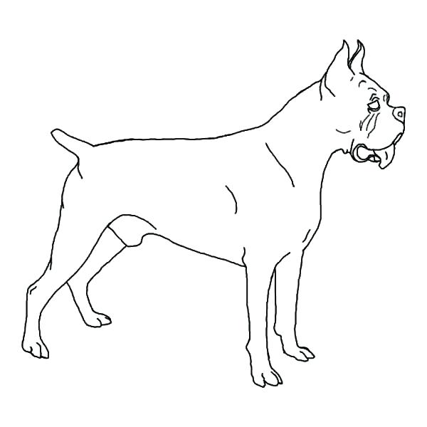 dog coloring pages realistic