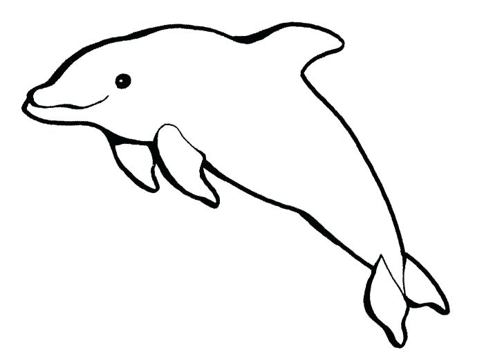 dolphin coloring book pages