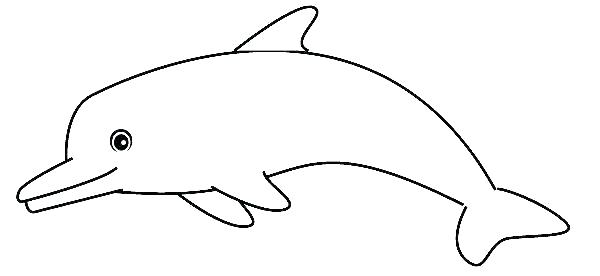 dolphin coloring pages for girls