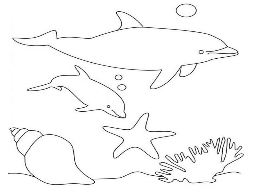 dolphin coloring pages for kids to print
