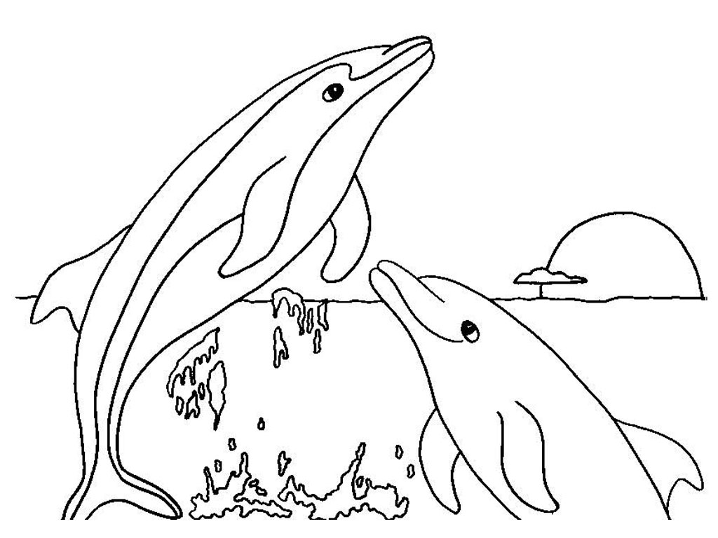 dolphin coloring pages to print out