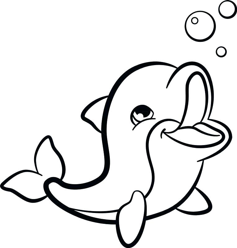 dolphin printable coloring pages