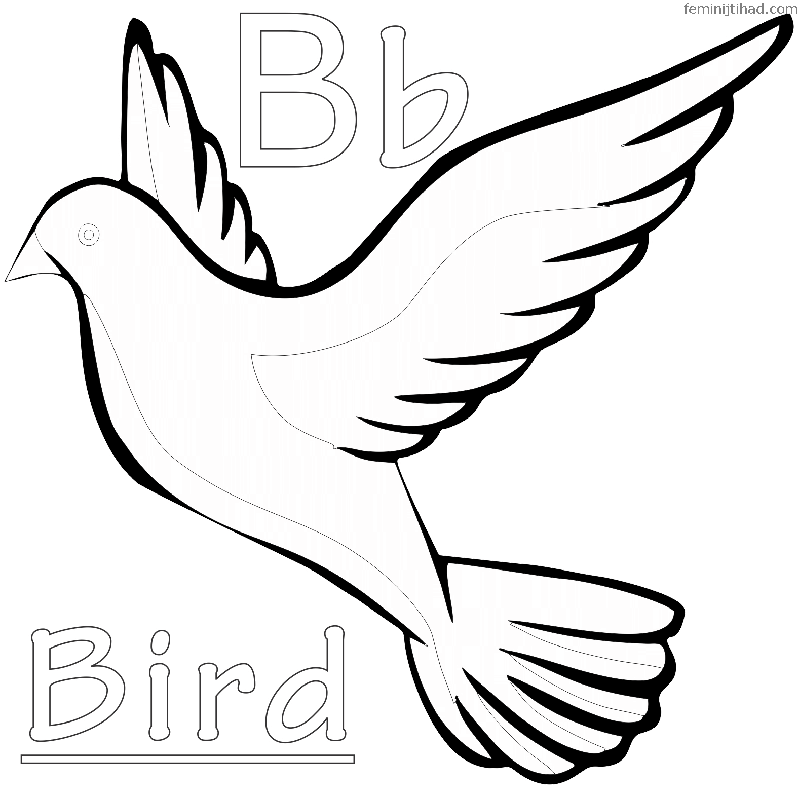 dove bird coloring page