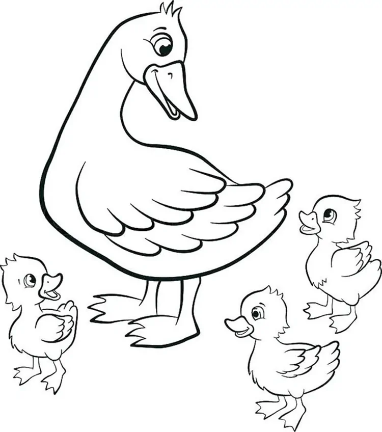 duck coloring pages