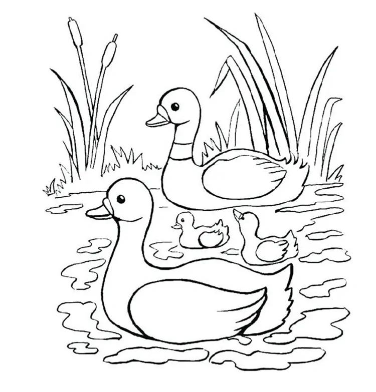 duck life coloring pages