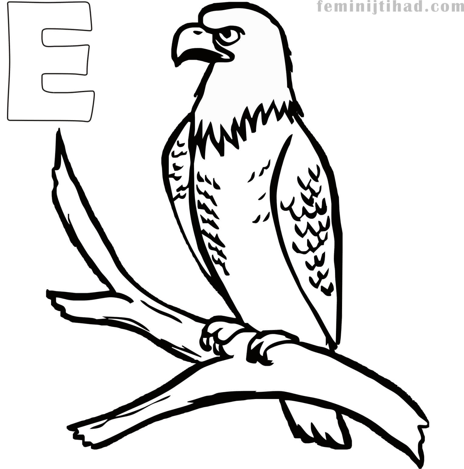 eagle coloring pages for adults