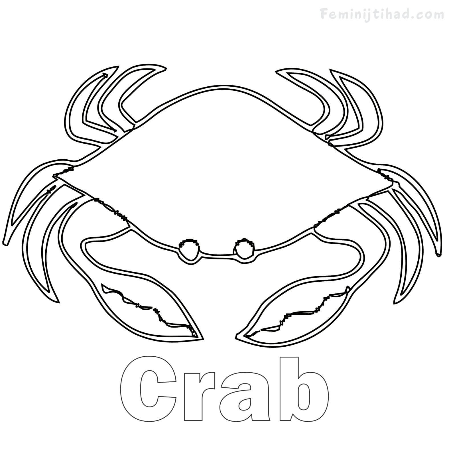 easy crab coloring page