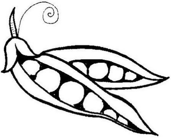 easy simple peas coloring page