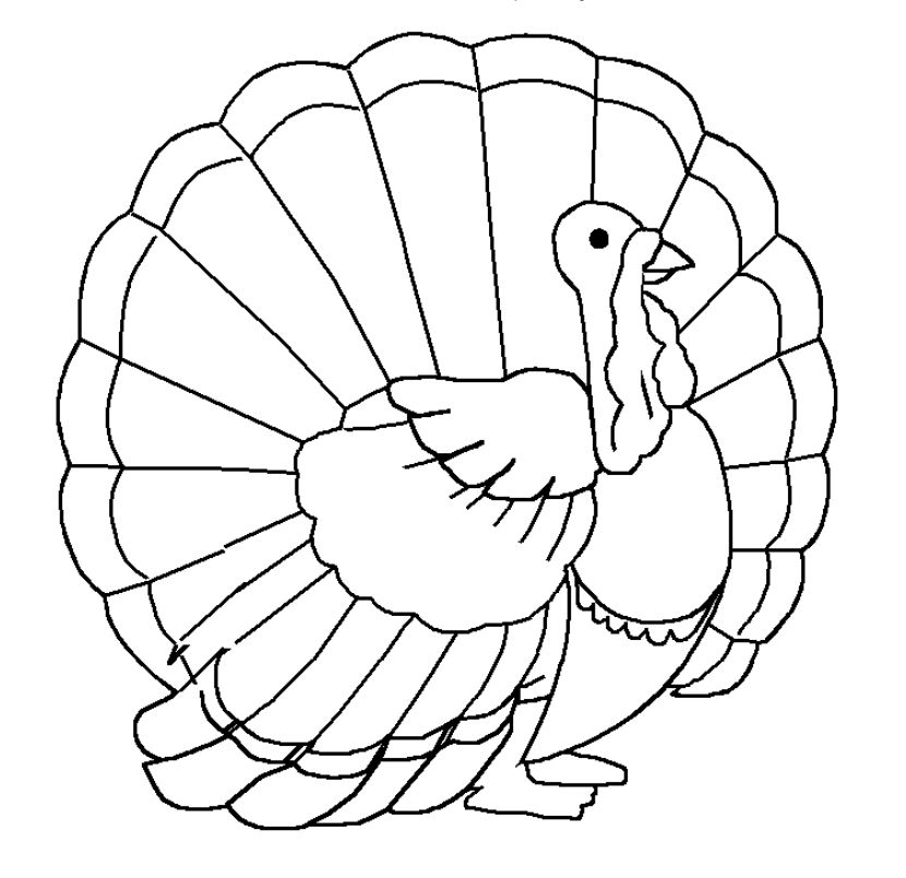 easy turkey coloring pages