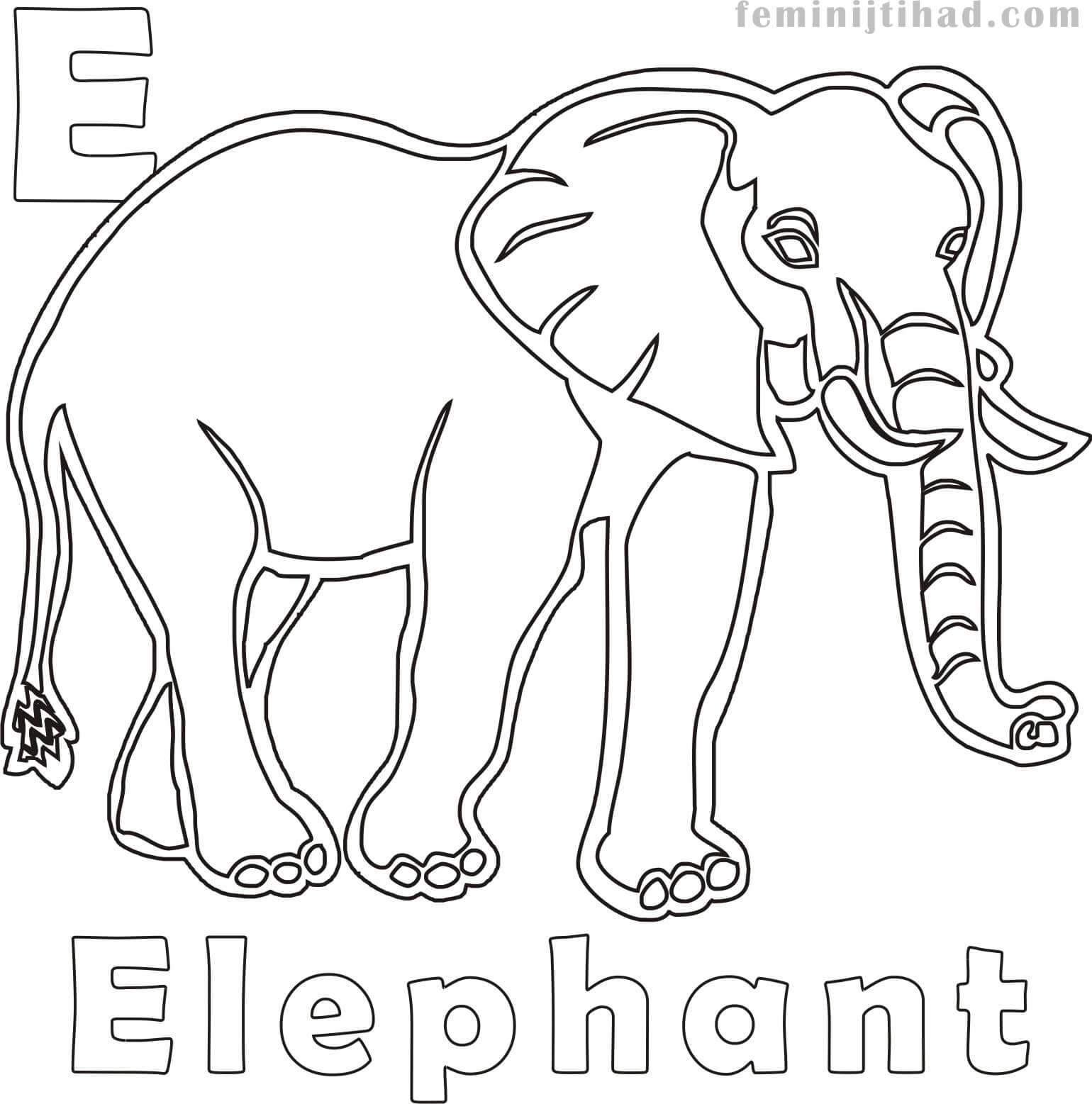elephant drawing coloring page