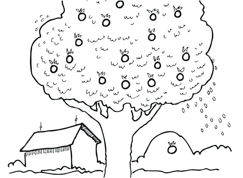 evergreen tree coloring pages