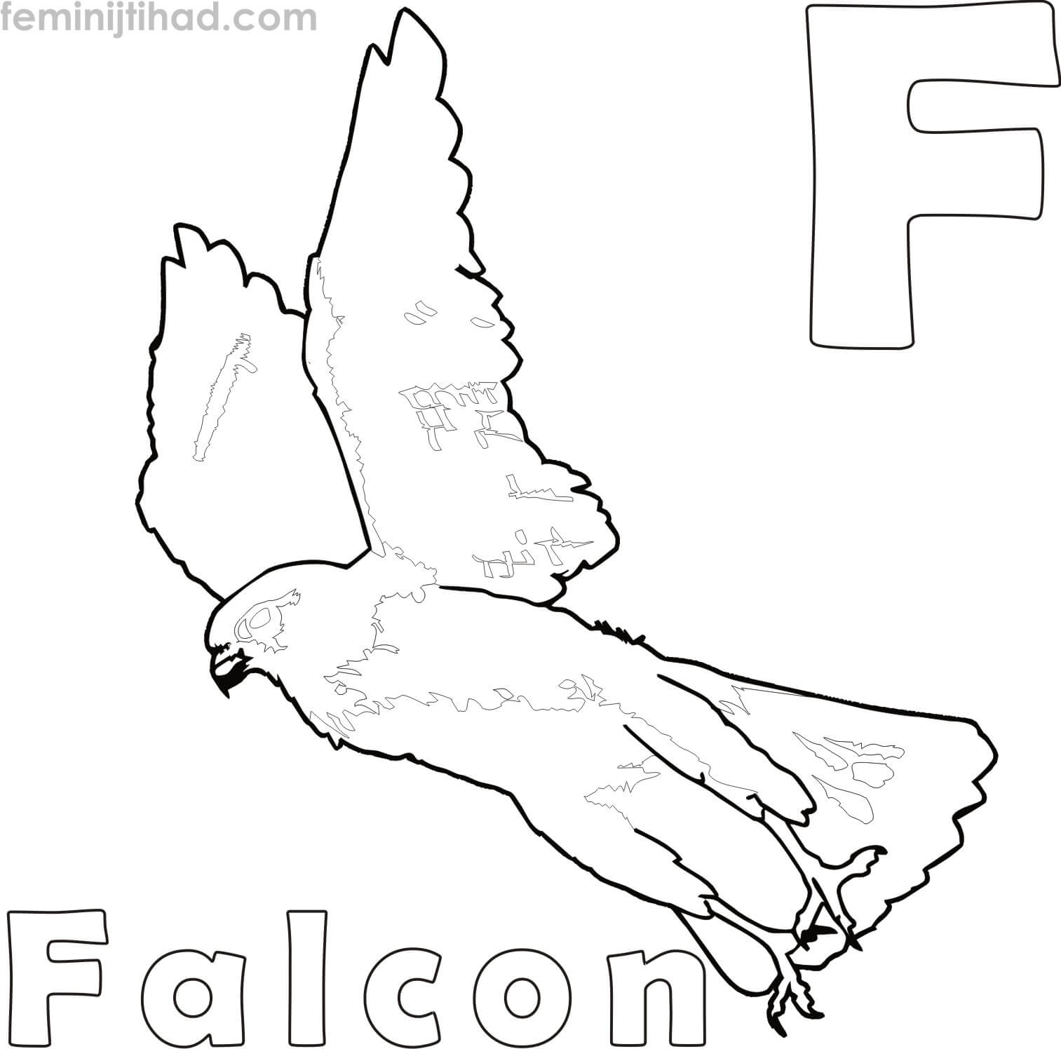 falcon coloring pages printable