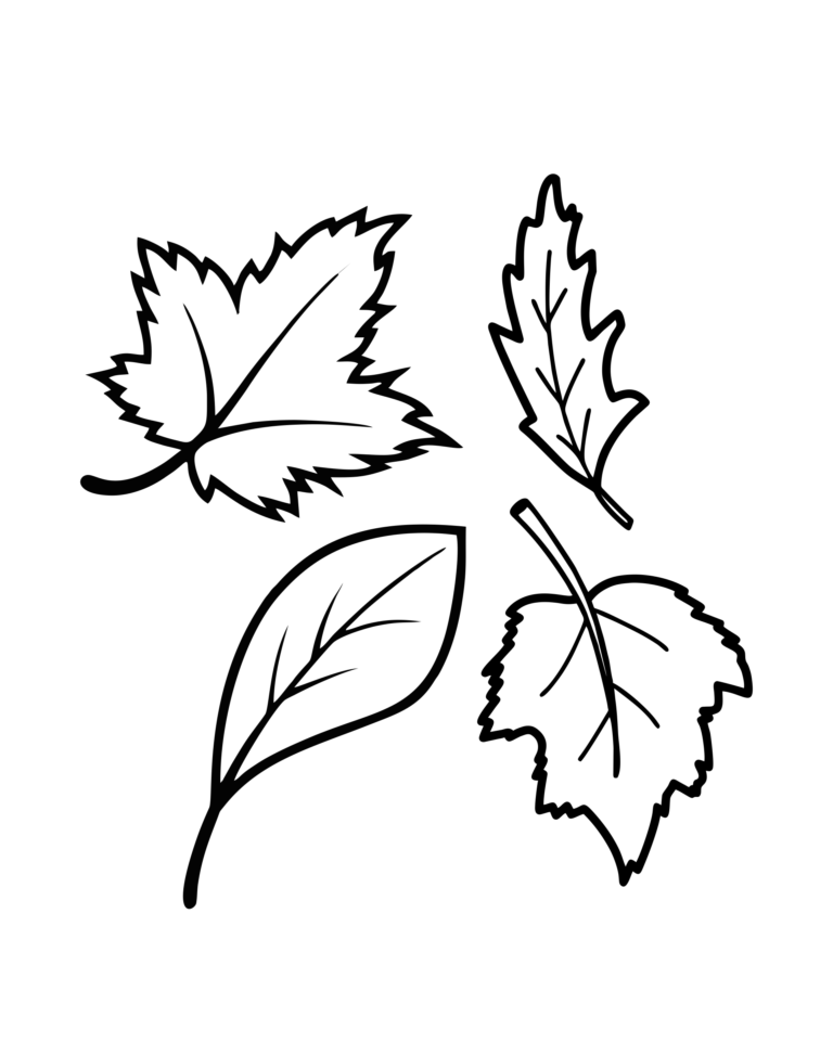 Fall Leaves Coloring Pages Pdf Free - Coloringfolder.com