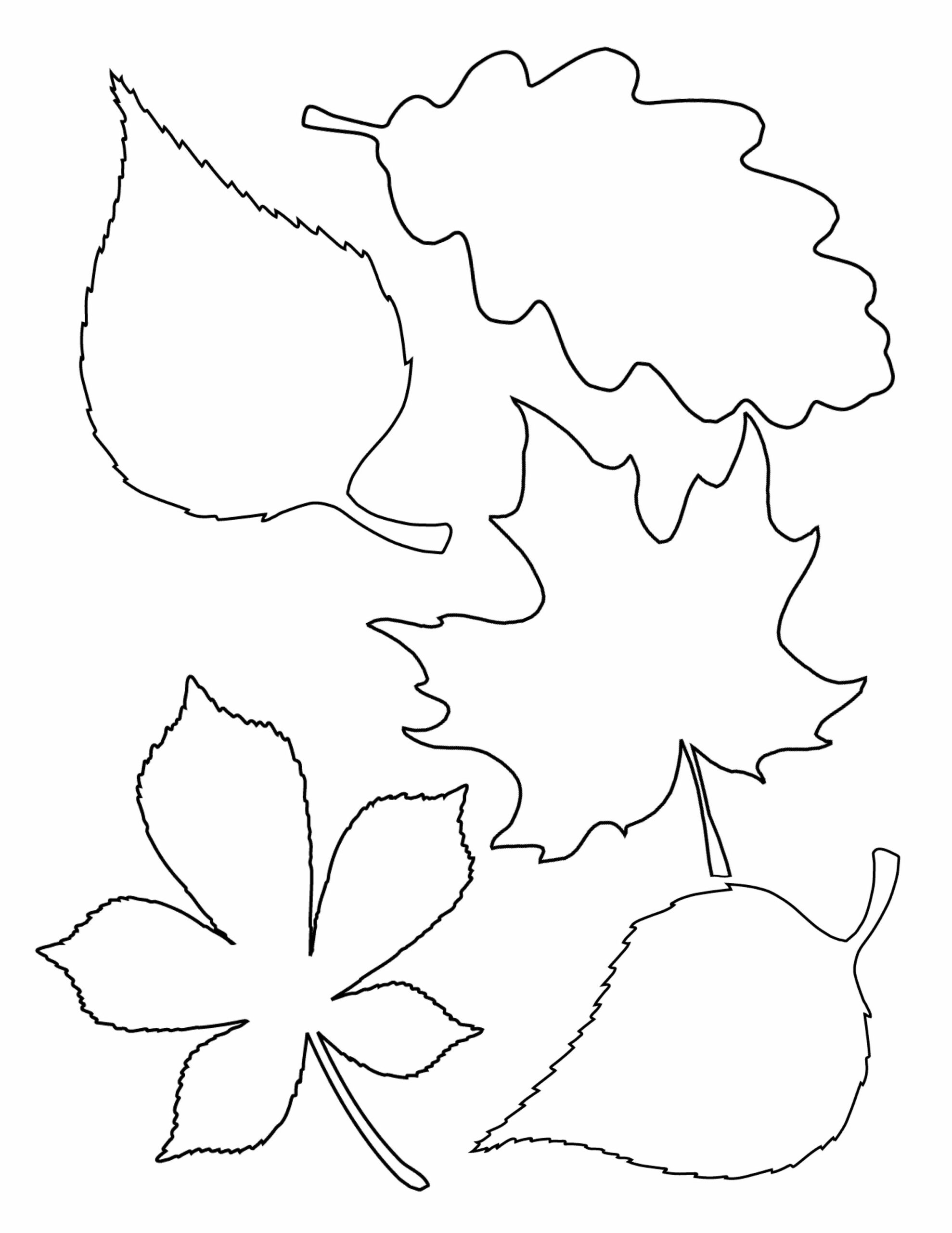 free printable fall leaves coloring pages