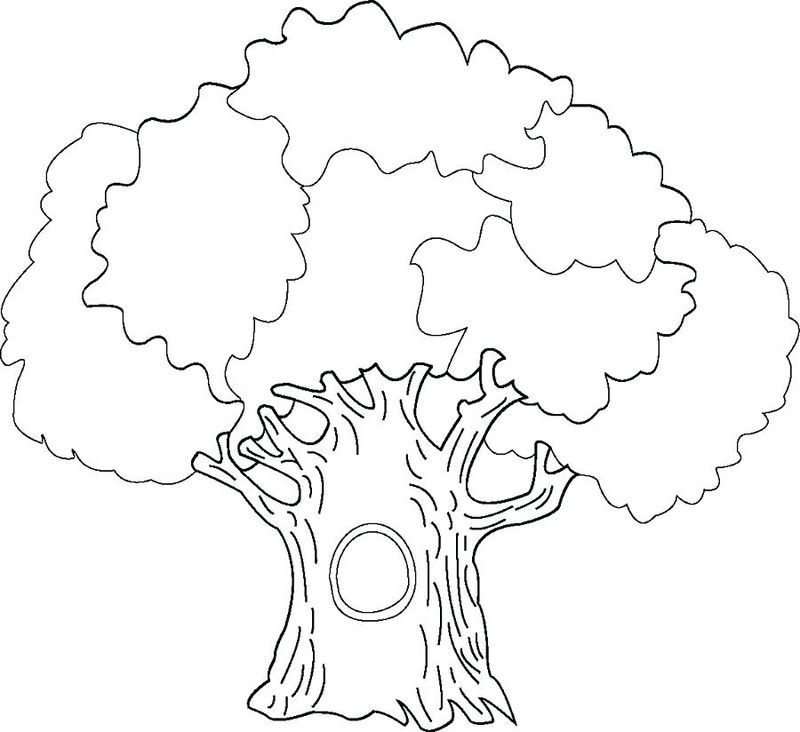 fall tree coloring pages