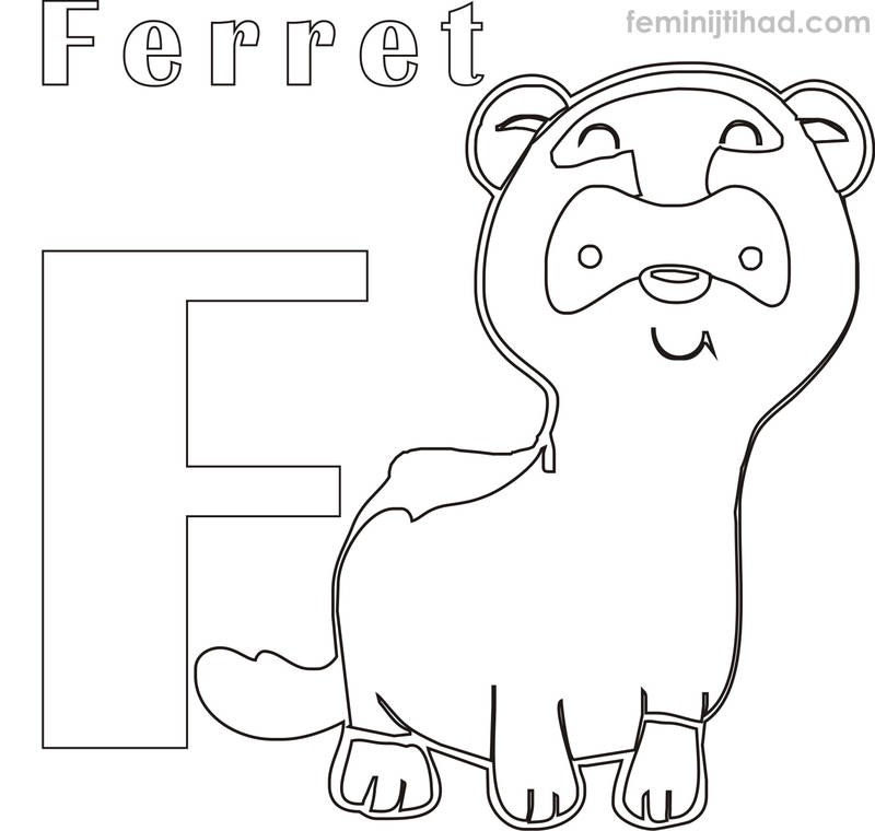 ferret coloring pages to print