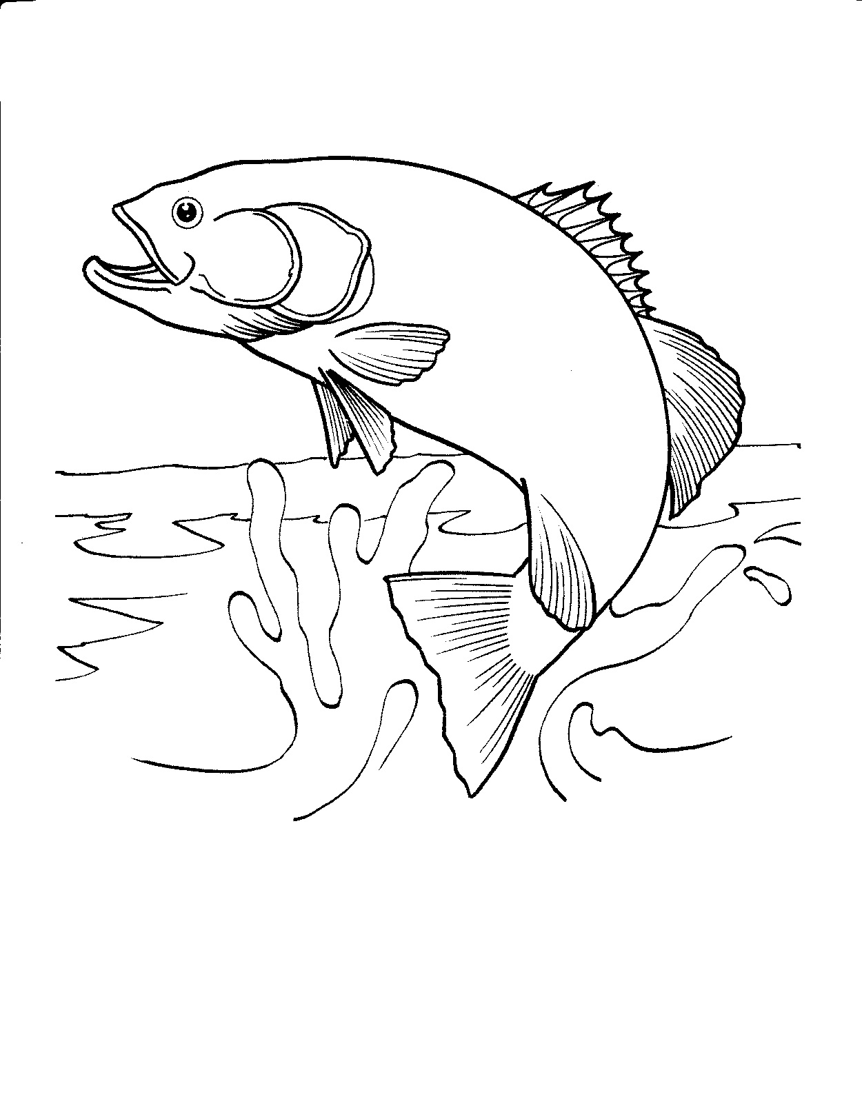 fish coloring pages pdf