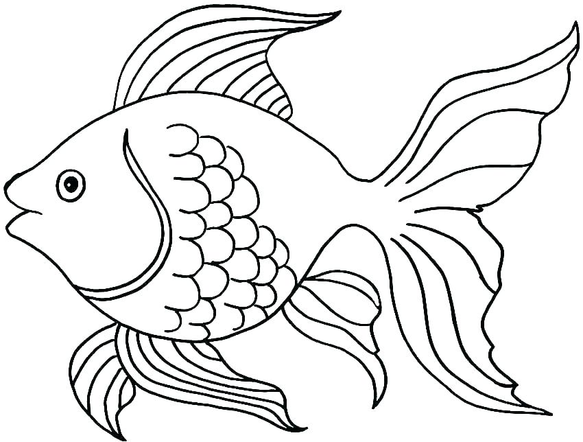 fish pictures coloring pages