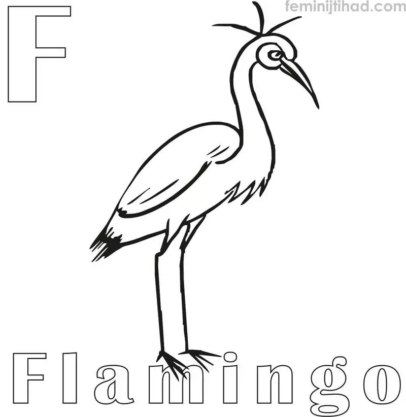 coloring page of a flamingo