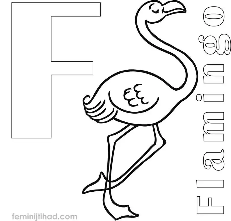 coloring pages of a flamingo