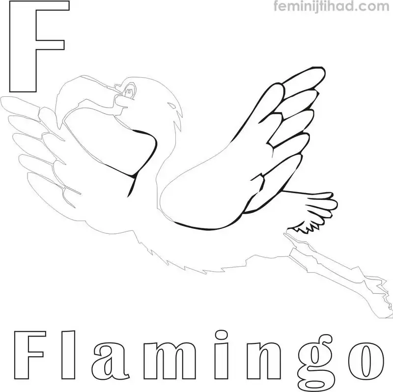 flamingo coloring pages to print 1