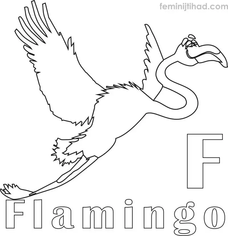 free coloring page flamingo