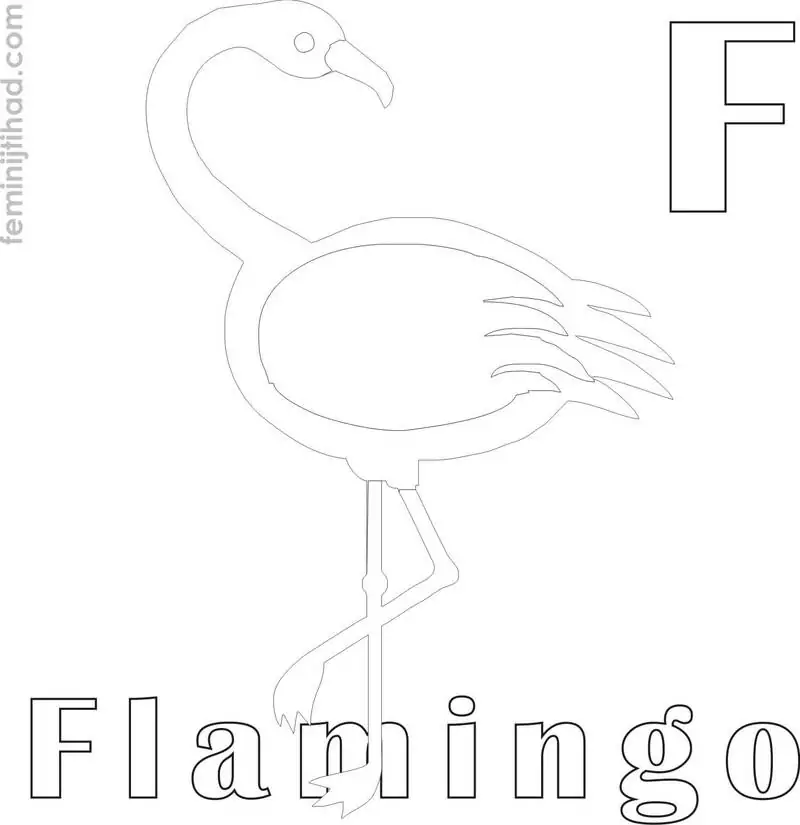 simple flamingo coloring page