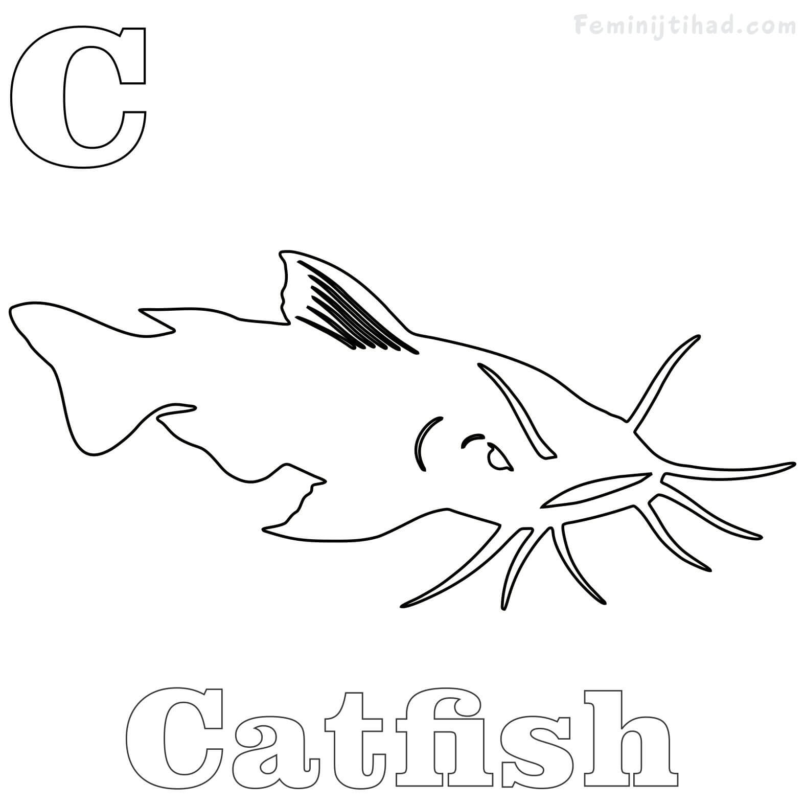 flathead catfish coloring page