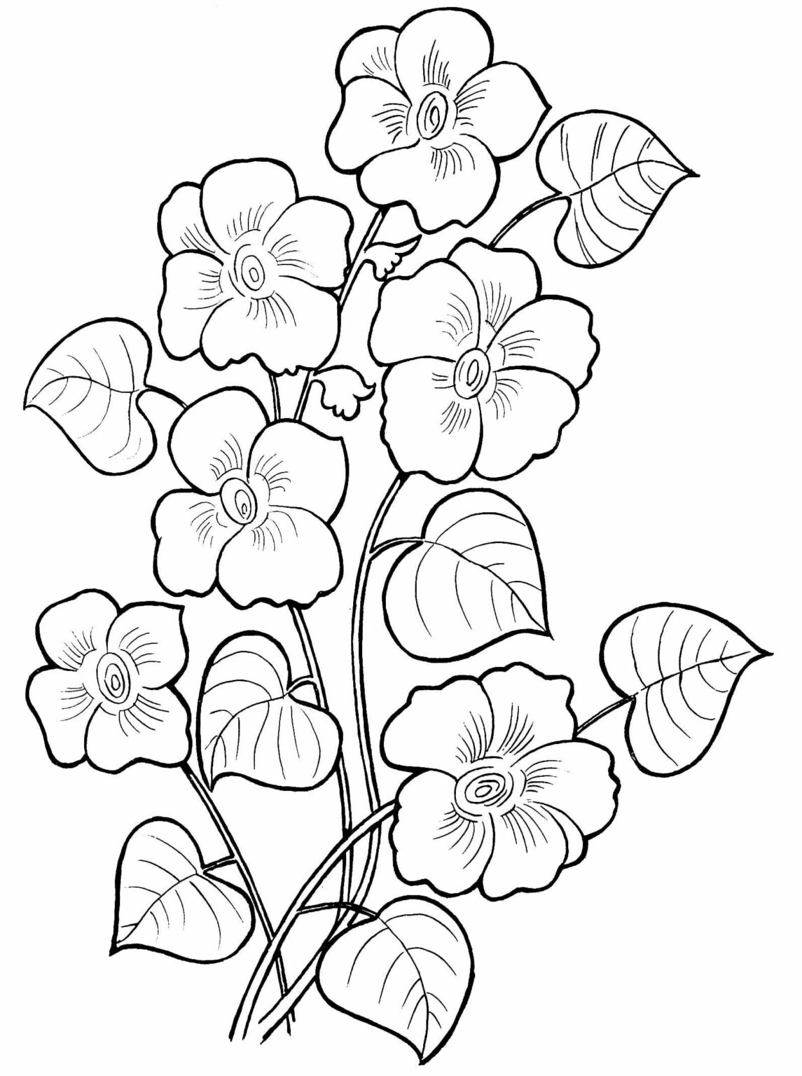 Floral Coloring Pages Pdf To Print - Coloringfolder.com