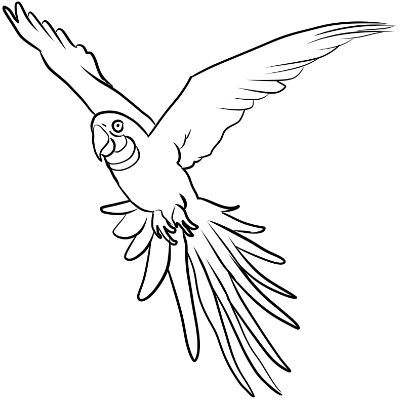 flying bird coloring page