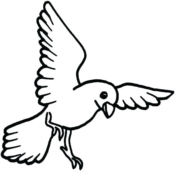 flying bird coloring pages