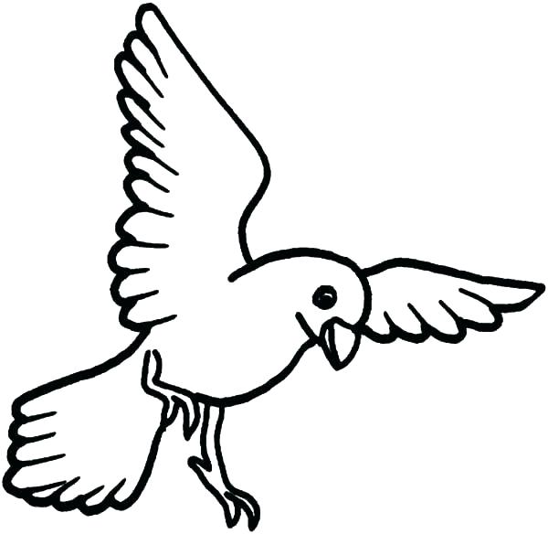 Flying Parrot Coloring Pages